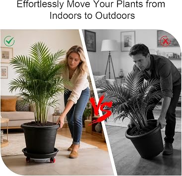 RooTrimmer 13 Inch Plant Stand Rolling Tray Plant Caddy with Wheels and Removable Drainage Holes and Drip Tray Plant Dolly for Heavy Duty Large Plants Rollers (2 Pack)