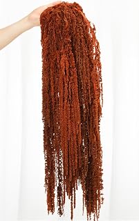 5Pcs Dried Amaranthus Hanging Flowers, Natural Preserved Flower for Wedding Arch, Exhibition, Wall Hanging Lover Tears, Floral Arrangement, Home Decor (Brown, 24")