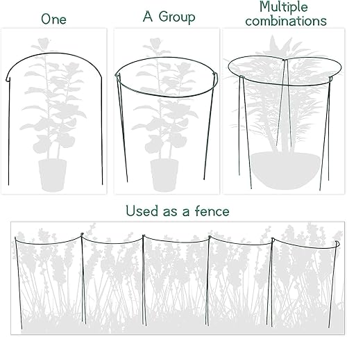 Miniatura 4 de Paquete de 10 estacas de soporte para plantas, jaulas y soportes de peonía de metal de 10 pulgadas de ancho x 24 pulgadas de alto, estacas para