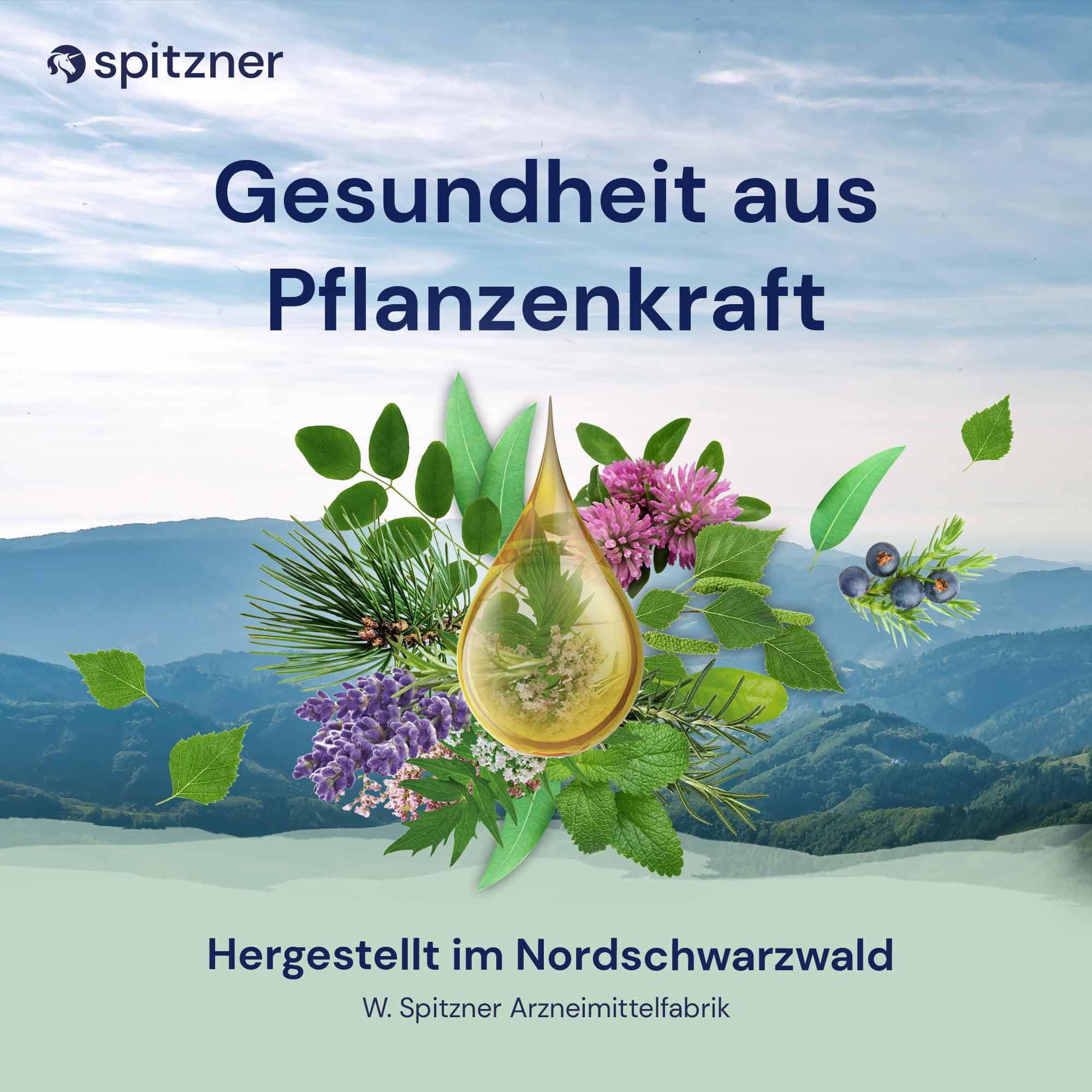 Spitzner Juego de infusión para sauna (6 x 190 ml)