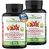 ForestLeaf Berberine Supplement - 1300mg per Serving - Ultra High Potency Berberine HCl with Ceylon Cinnamon, Bitter Melon & Gymnema - GLP-1 Weight Management Support - 90 Caps
