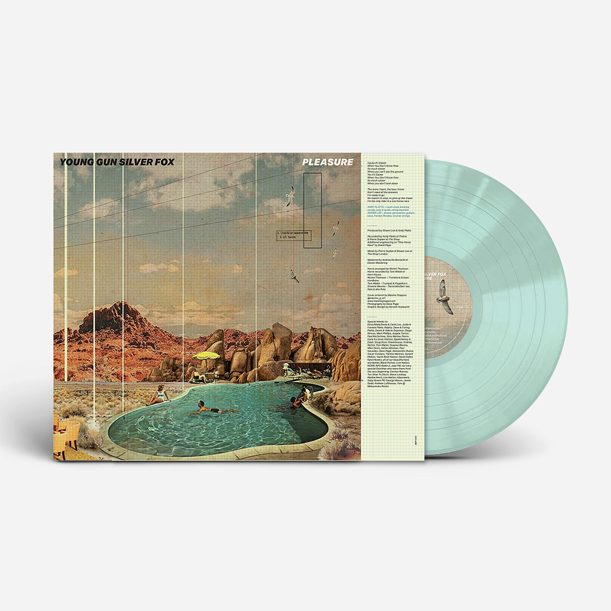 Pleasure [Vinyl LP] [VINYL]