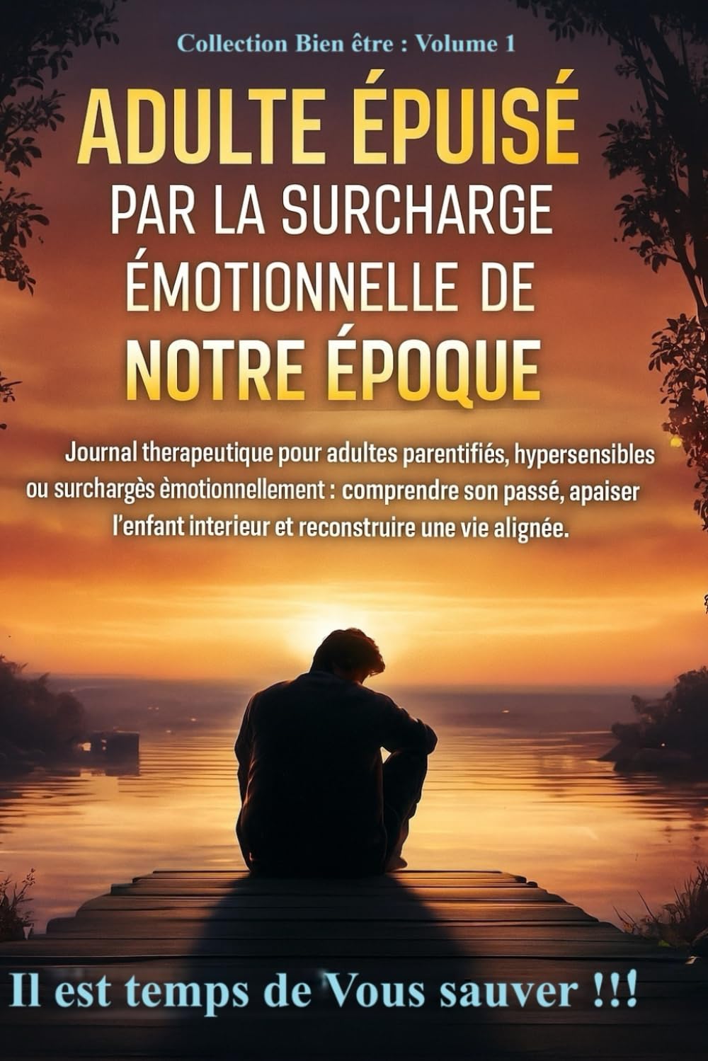 Adulte Epuisé : volume 1: Surcharge émotionnelle de notre époque (Bien être intérieur)