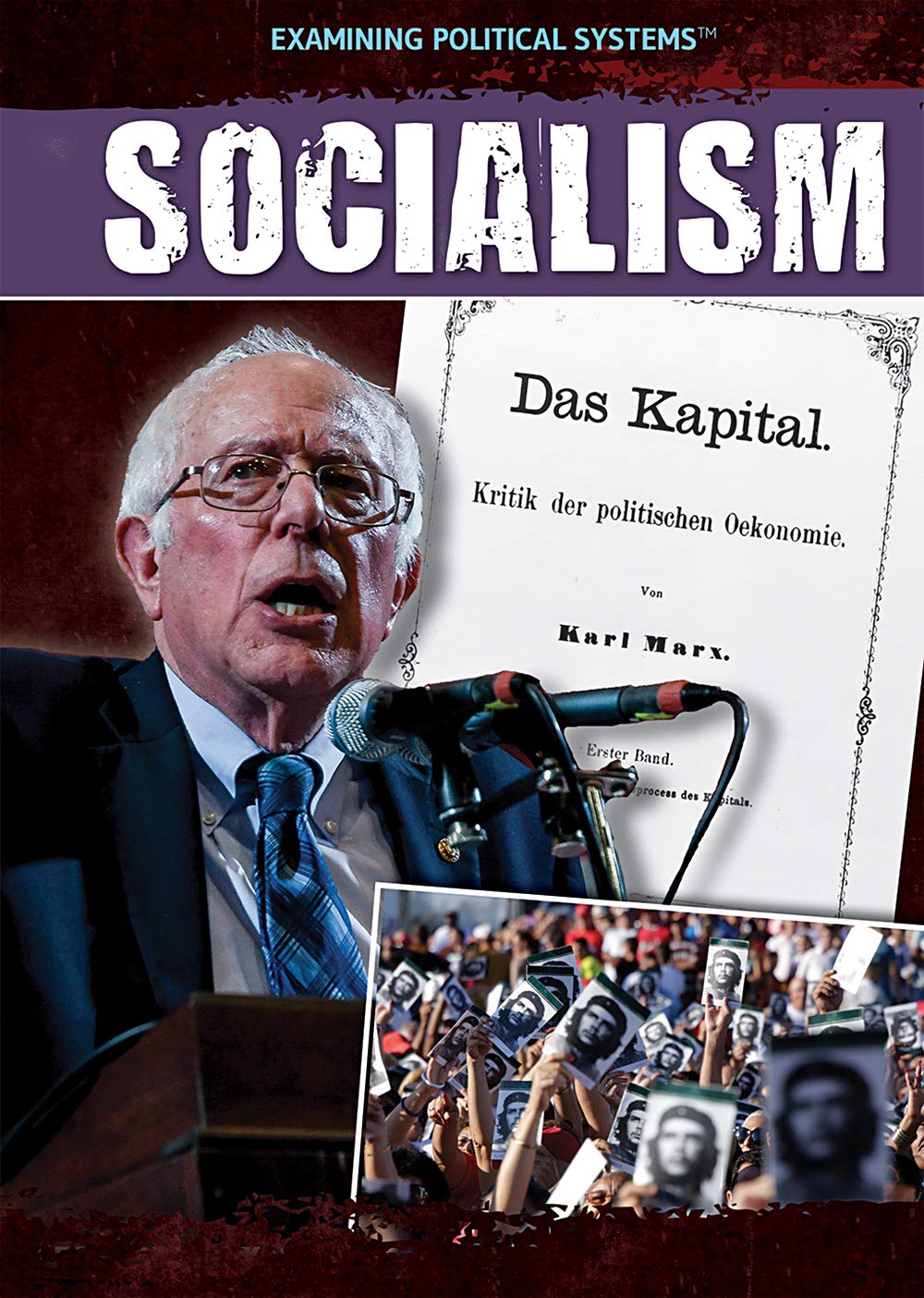 Socialism (Examining Political Systems)