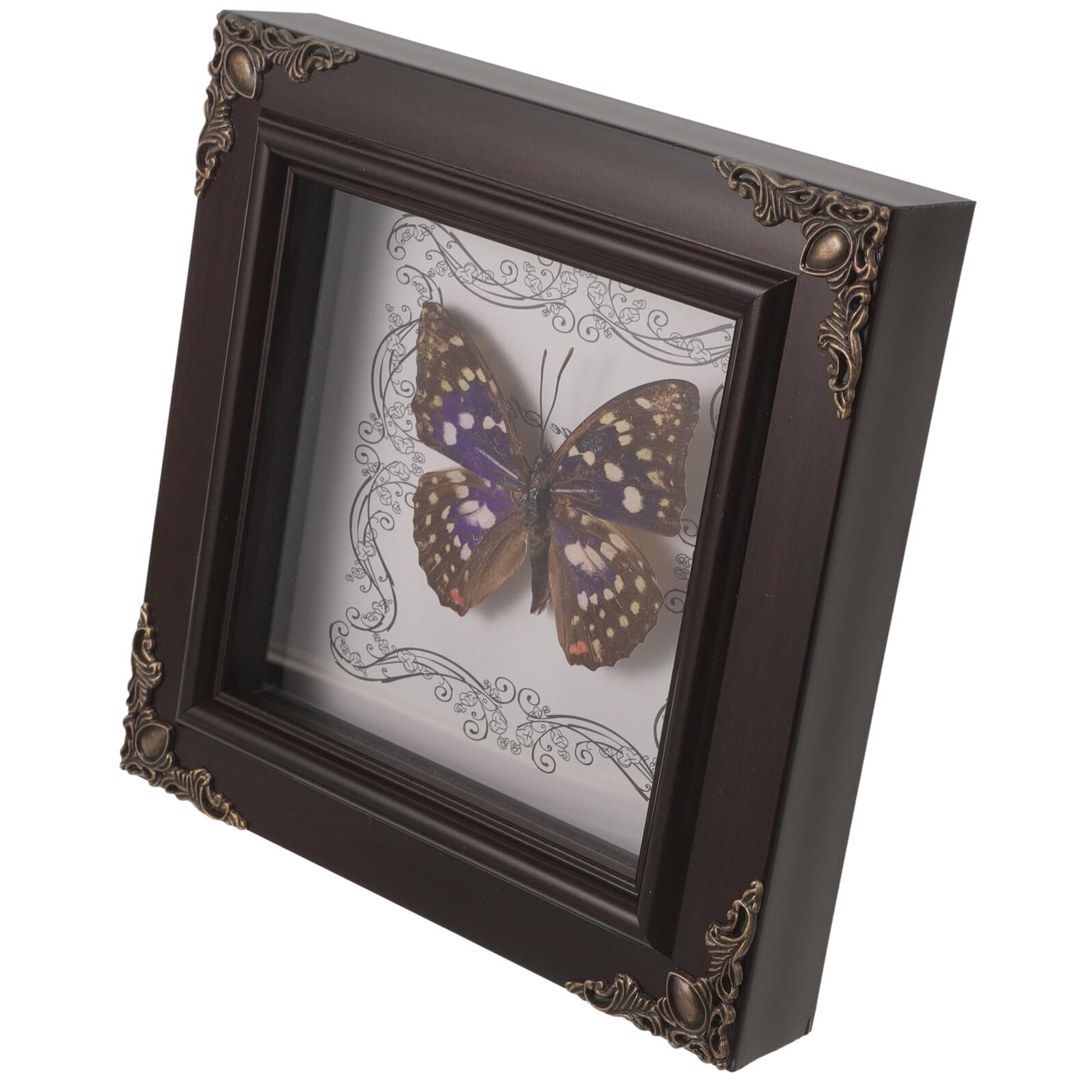 Cadre photo d'ombre avec authentique Morpho, cadeau vintage idéal