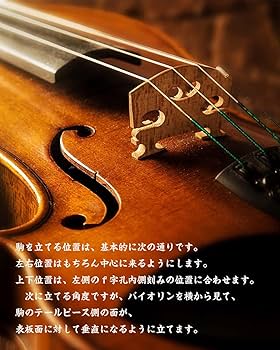 [美品]Piccolini バイオリン 1/4サイズ 子供用  4点セット バイオリンセット-通販 Piccolini｜チェロ・ビオラ・弦・弓