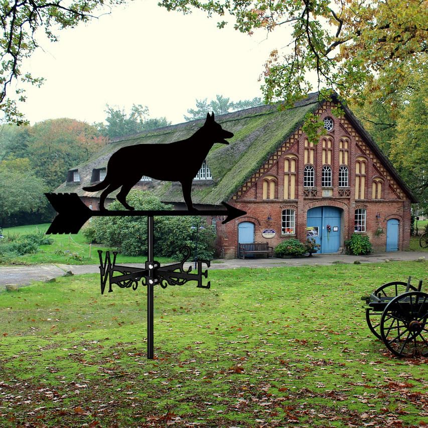 Girouette pour chien robuste contre le vent pour pelouse et ferme - 3