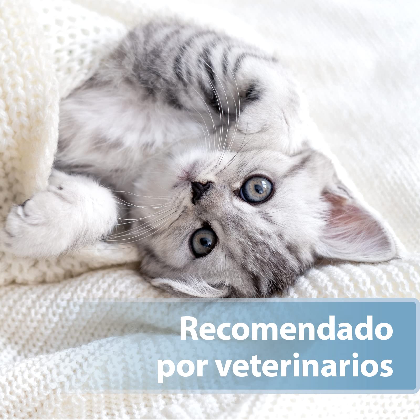 Felisept Almohadilla Para El Cuidado de los Oídos Para Gatos 50 piezas - Cuidado e higiene para orejas de gato - Alevines para una limpieza práctica e intuitiva - Limpiador de oídos para gatos