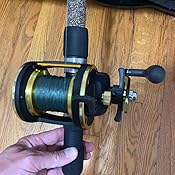 daiwa sealine x