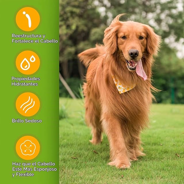 Foto 5 de 8 de Nobleza Champú para perros de pelo largo, efecto desenredante, champú para perros de pelo largo