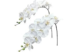 Fnize White Orchid Artificial Flowers Real Touch Latex Faux Phalaenopsis Branches