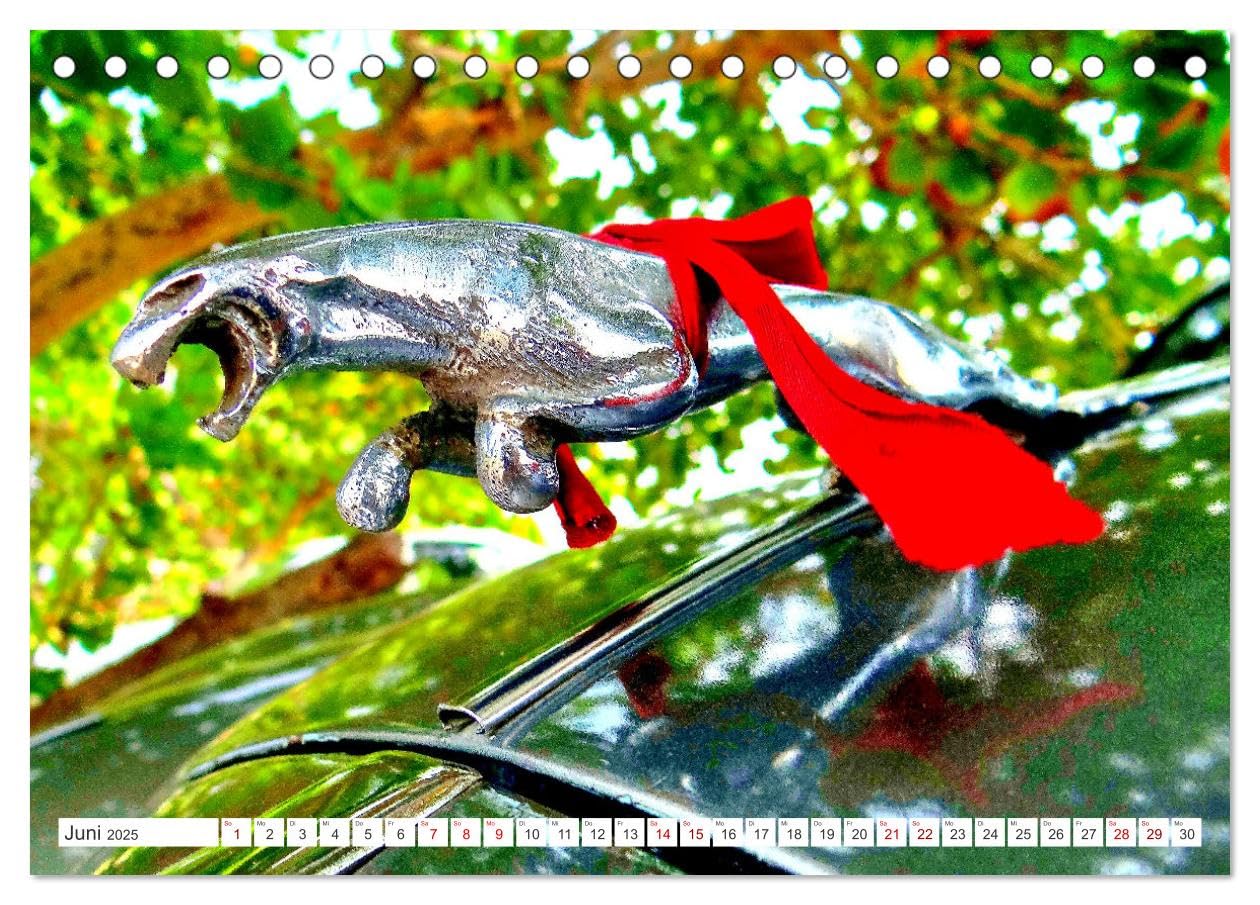 Tierische Oldtimer - Markante Kühlerfiguren (Tischkalender 2025 DIN A5 quer), CALVENDO Monatskalender: Tierfiguren auf der Kühlerhaube von Oldtimern (CALVENDO Mobilitaet)