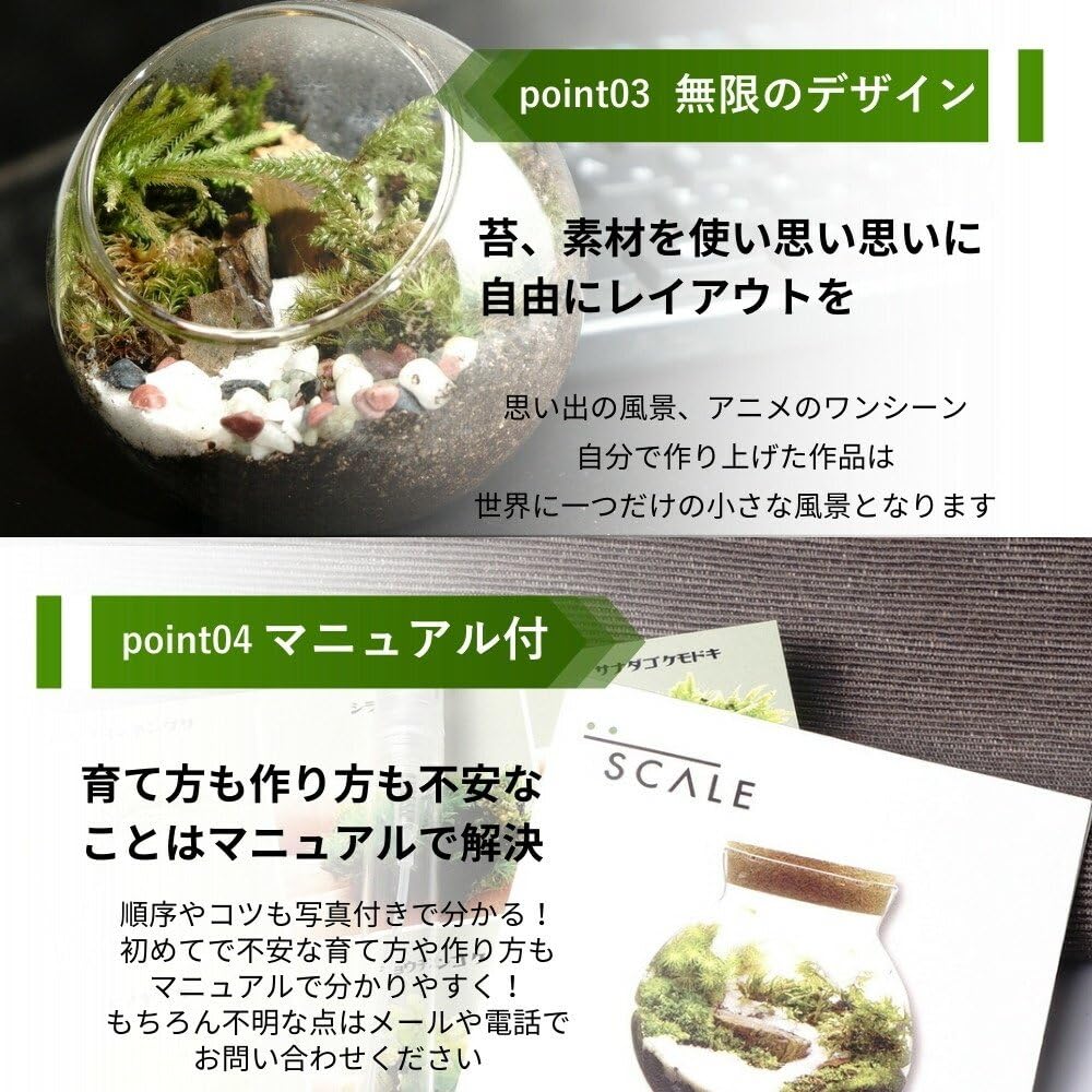 Amazon｜【スターターキット】16cm 溶岩石 苔テラリウム コウヤノ
