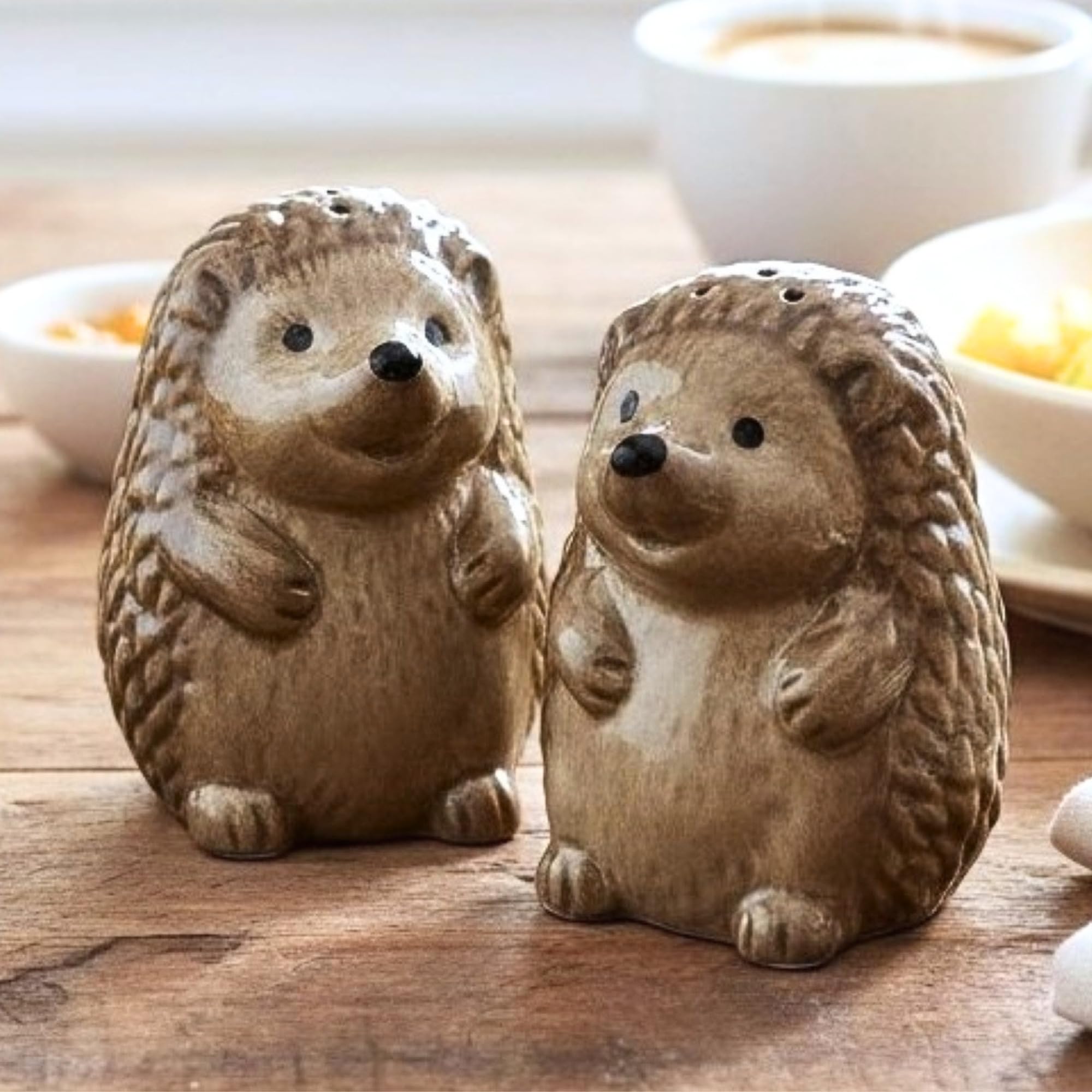 Novelty Dog and Animal Shaped Ceramic Salt & Pepper Shaker Set, Quirky Tableware or Home Decoration, Great Dog Lover Gift (Hedgehogs) — image 1