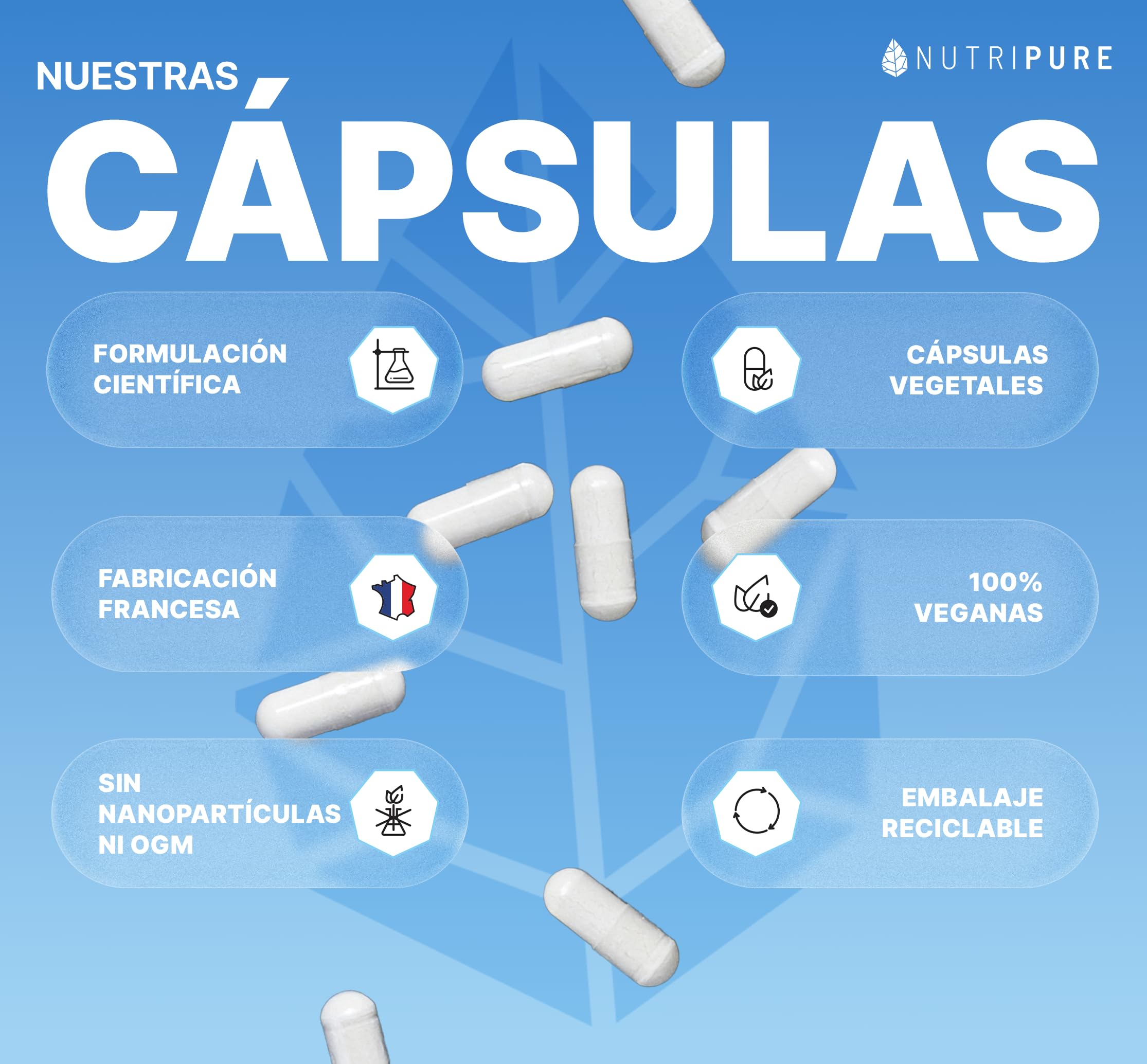 Nutripure | Magnesio Bisglicinato + Taurina & Vitamina B6 | Alta Absorción & Concentración | Antifatiga | 100% Vegano | 180 Cápsulas Vegetales | Tratamiento de 3 Meses | Made in France