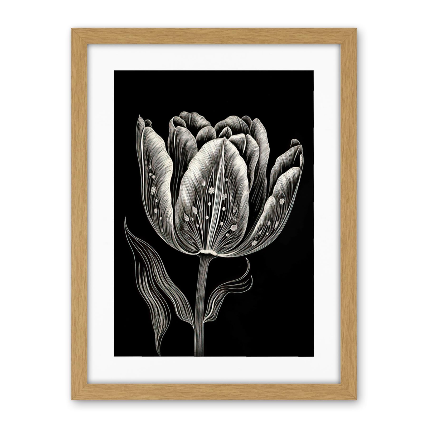 Artery8 Tulip Flower White on Black Blind Contour Folk Art Artwork Framed Wall Art Print 18X24 Inch