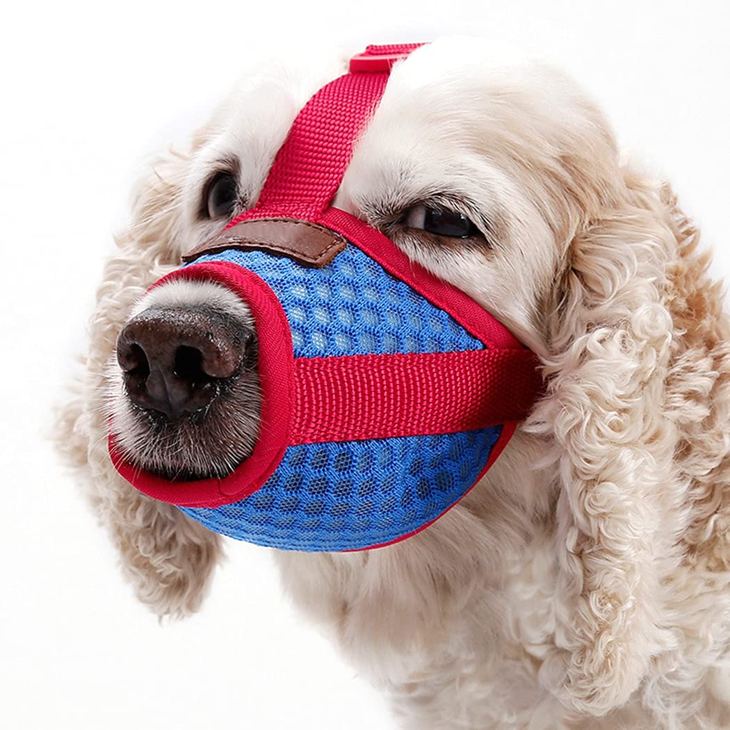 See full amazon price history chart for Lnrueg Screaming Park Travel Mask Soft Large Aggressive Chewers Puppy Pet Mouth Cover Breathable Dog Muzzle Guard Adjustable Biteproof Lnrueg Screaming Park Travel Mask Soft Large Aggressive Chewers Puppy Pet Mouth Cover Breathable Dog Muzzle Guard Adjustable Biteproof (B09BMWTXMT) Amazon Price History, Amazon Price Tracker