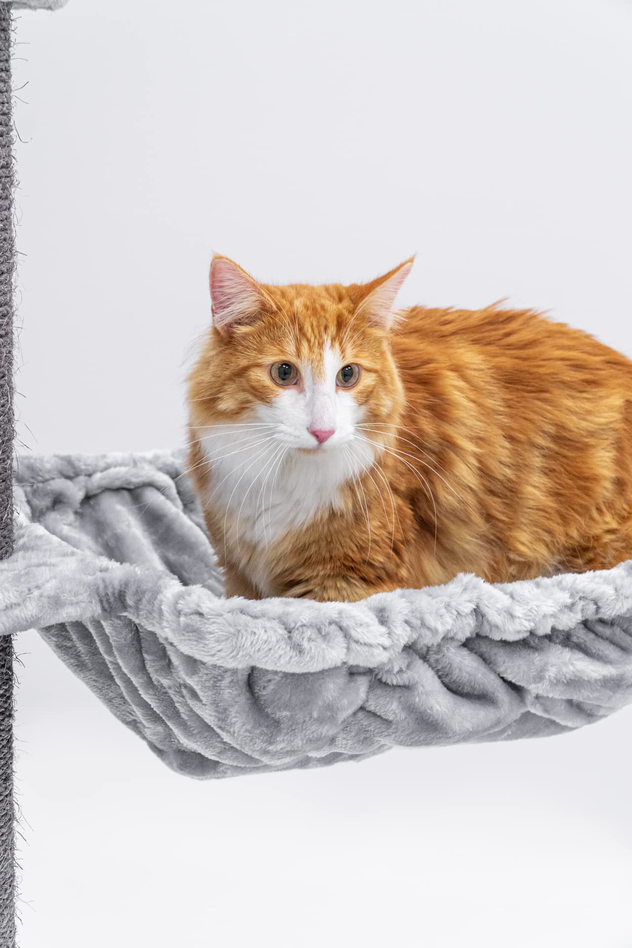 Petrebels Kratzbaum Deckenhoch mit Dicke Stämme, Alexis 224 cm, Grau | extrem stabil mit Wandmontage, Ø 12 cm Sisalstamm, für große Katzen & Maine Coon, mit 2 Hängematten und Sofa, bis zur Decke