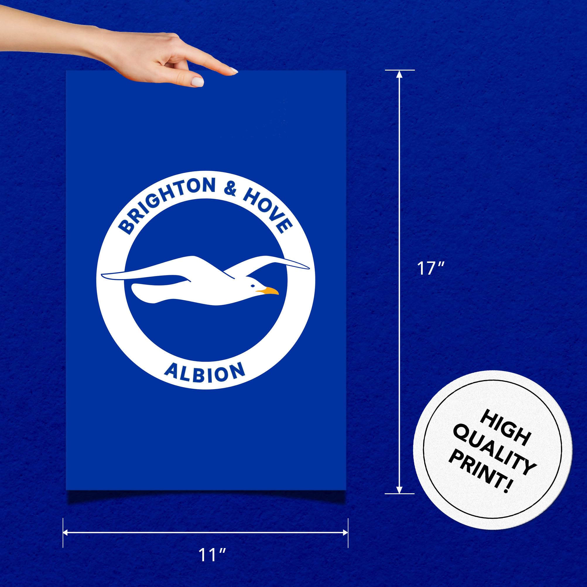 Amazon.com: Desert Cactus Brighton & Hove Albion Poster Football