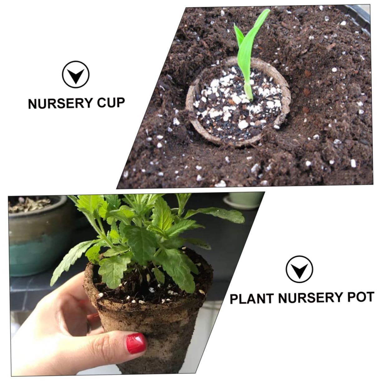 HANABASS Coppette Biodegradabili per Semina 8 Cm con Apertura, 100 Pz Vasi per Coltivazione Piantine da Giardino