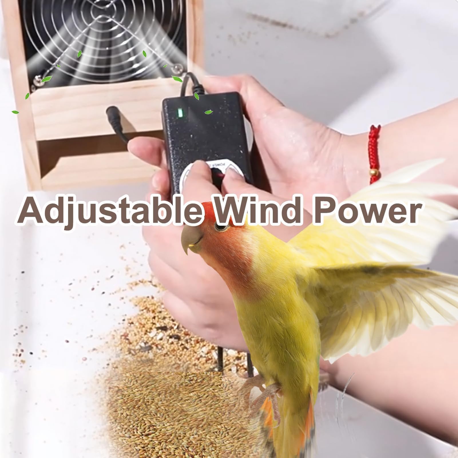 Máquina limpiadora de semillas de pájaros, divisor de concha soplada, limpiador de granos con doble cajón, ventilador de velocidad ajustable