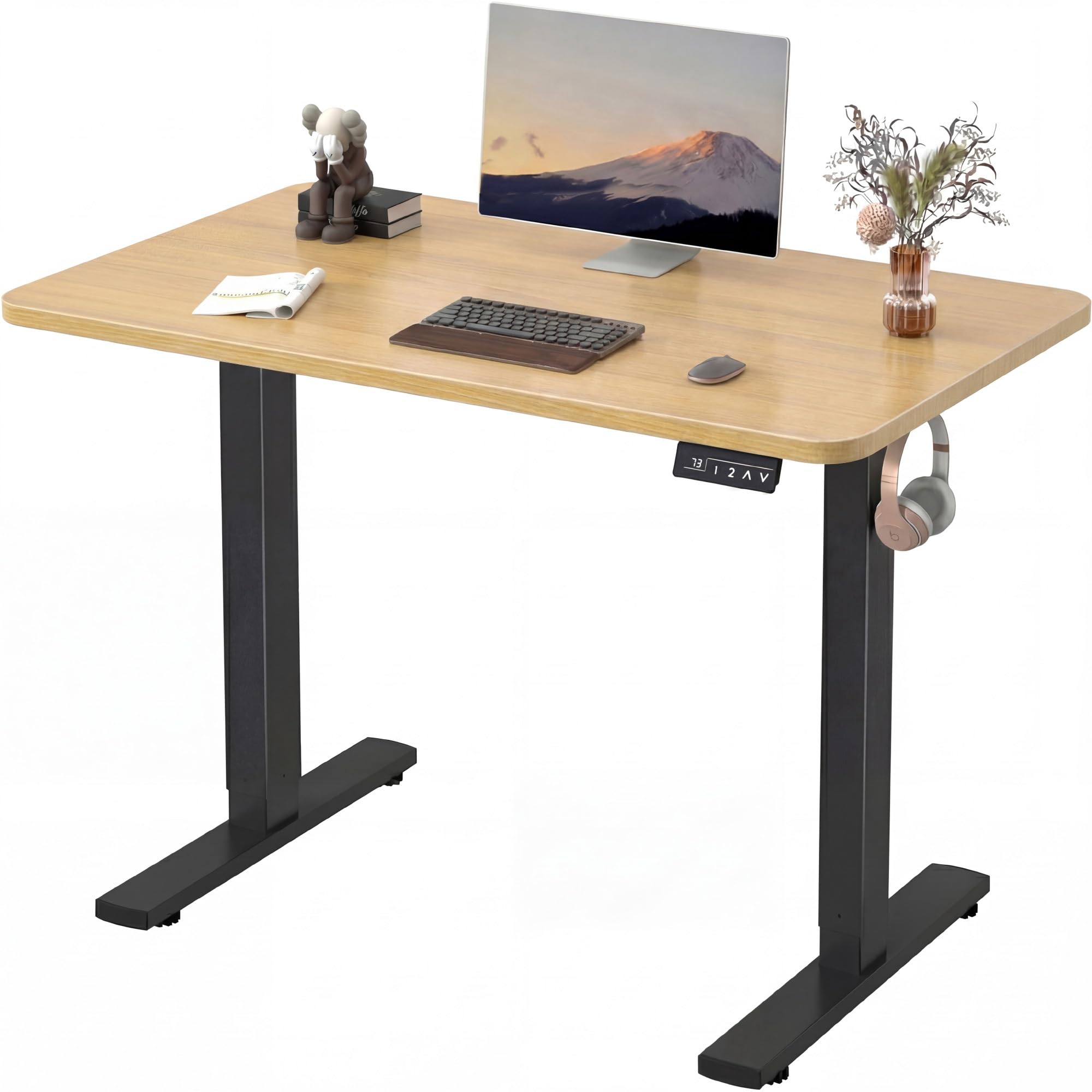 Furmax Electric Height Adjustable Standing Desk Large 48 x 24 Inches Sit Stand up Desk Home Office Computer Desk Memory Preset with T-Shaped Metal