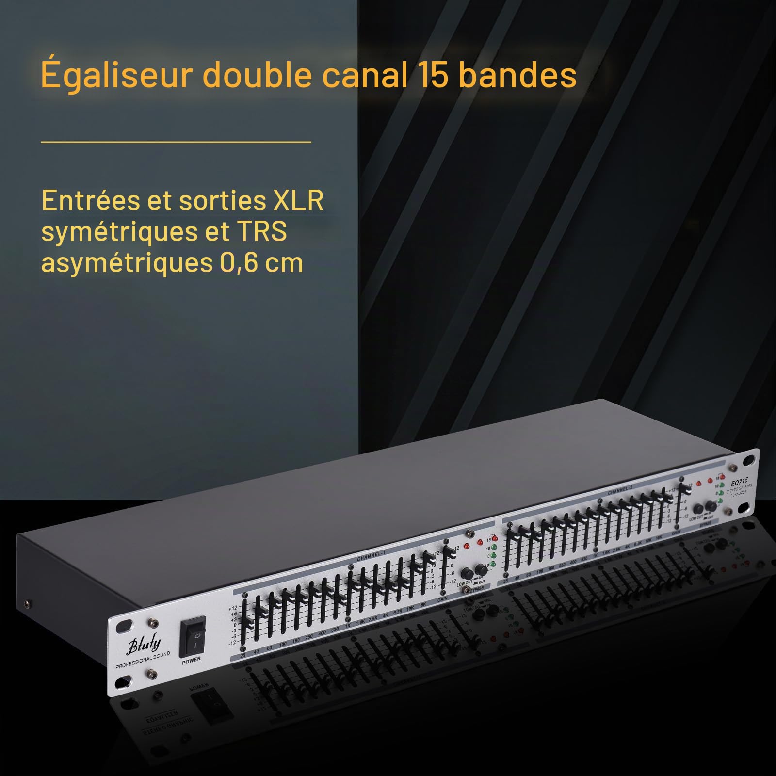 Btuty EQ-215 Égaliseur Double Canal 15-Bandes 1U Montage en Rack Égaliseur Graphique Stéréo 2 Canaux