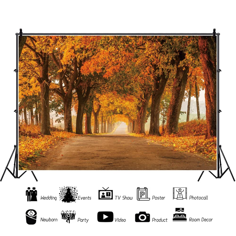 2025年最新】シーグラスアート 秋の人気アイテム - メルカリ Autumn