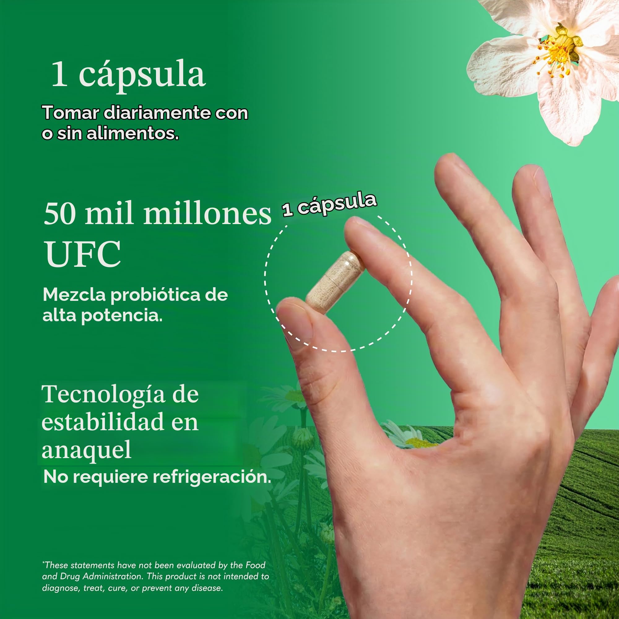 Garden of Life Los Probióticos Prima Colon Care (No Perecedero) - 30 Vcaps 80 g