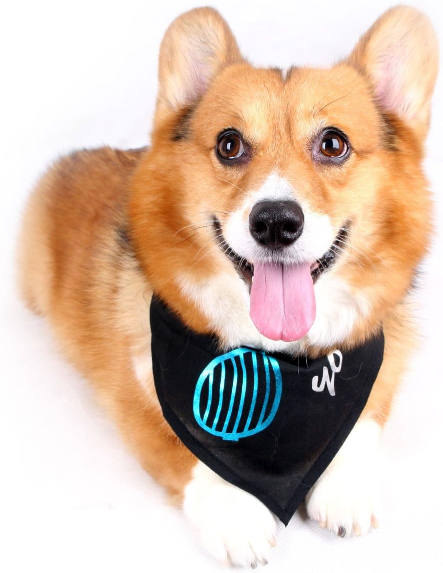 Happy Puppy Designer Dog Accessory - Venetian-Blind Sunglasses Bandana - Color: Black, Size: M