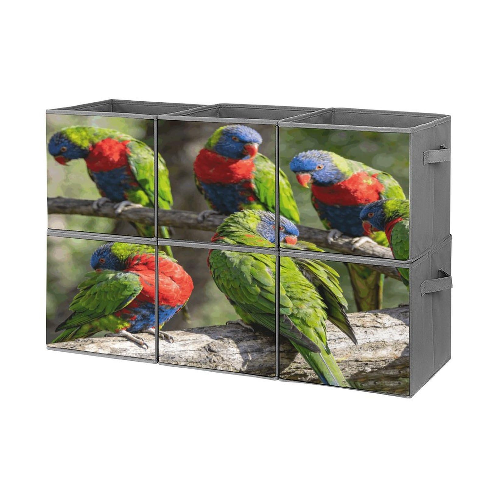 Fodpand Style Parrots Cube Bins With Double Handles,Set Of 6 Cube Organizer, Stackable And Foldable Storage Bins For Organization, Closet, Shelves, Offices