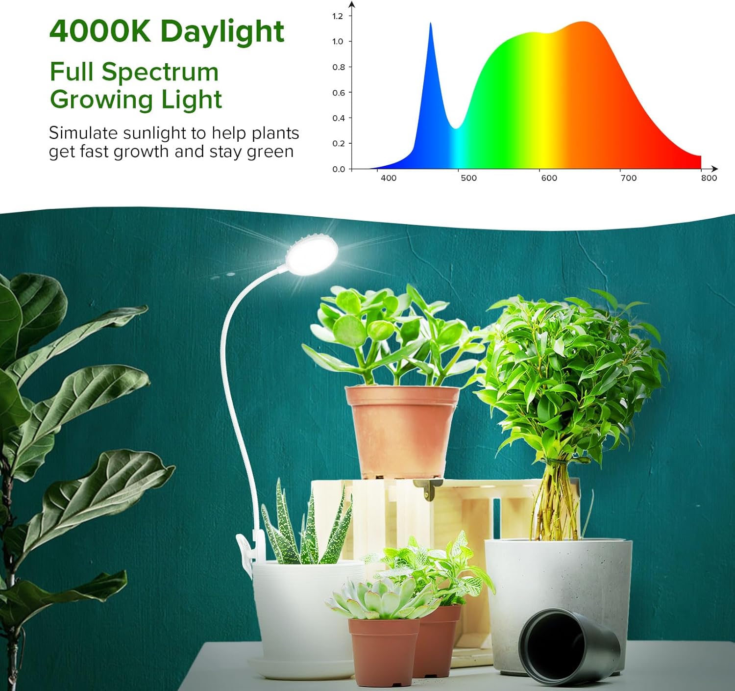 Grow Light, Full Spectrum Plant Lights for Indoor Growing, 10 W Pot Clip On Growing Lamp with Auto On/Off Timer 3/6/12H, 4 Dimmable Brightness, Ideal for Pot Plants Indoor, 3 Pack