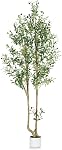HZXGCP Artificial Olive Tree 6ft with Adjustable Branches and White Pot, a Realistic Indoor Faux Plant Ideal for Home and Office Decor - Effortless Assembly (Olive Tree 6FT)
