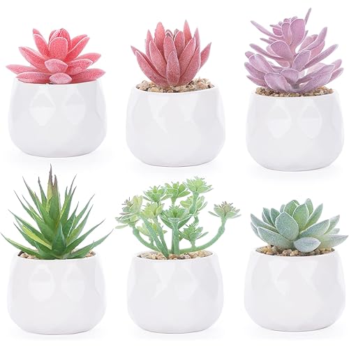 Lemonfilter 6 Pack Mini Potted Artificial Plants Fake Small Greenery Plastic Faux Red and Green Grass Potted Plants Decorative Fake Plant for House Office Balcony Desk Bathroom Decoration (7-11CM)