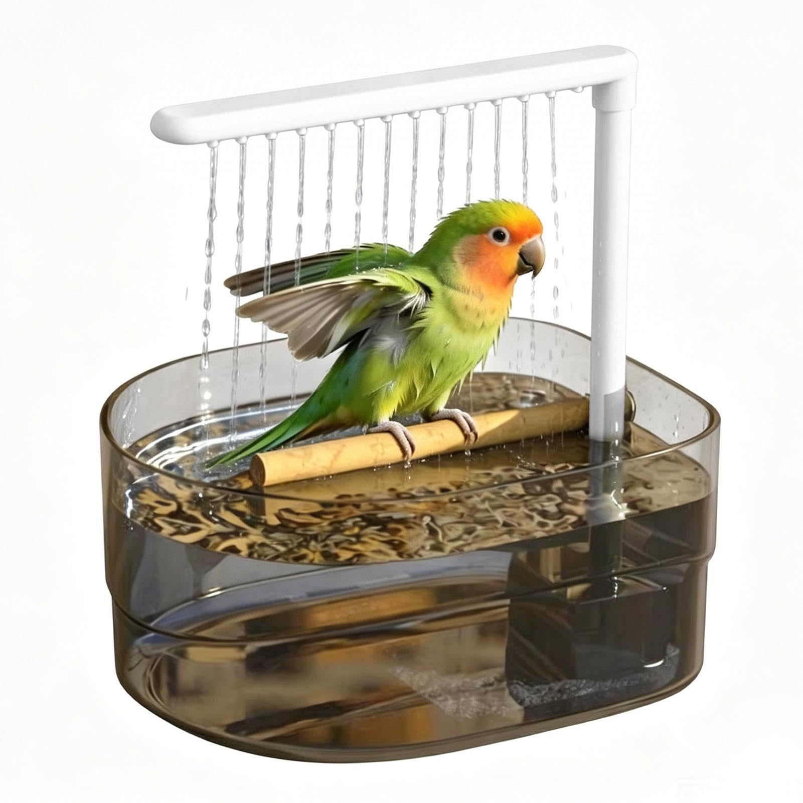 Bain d'oiseau automatique Accessoires Électriques Grands Transparents Pour