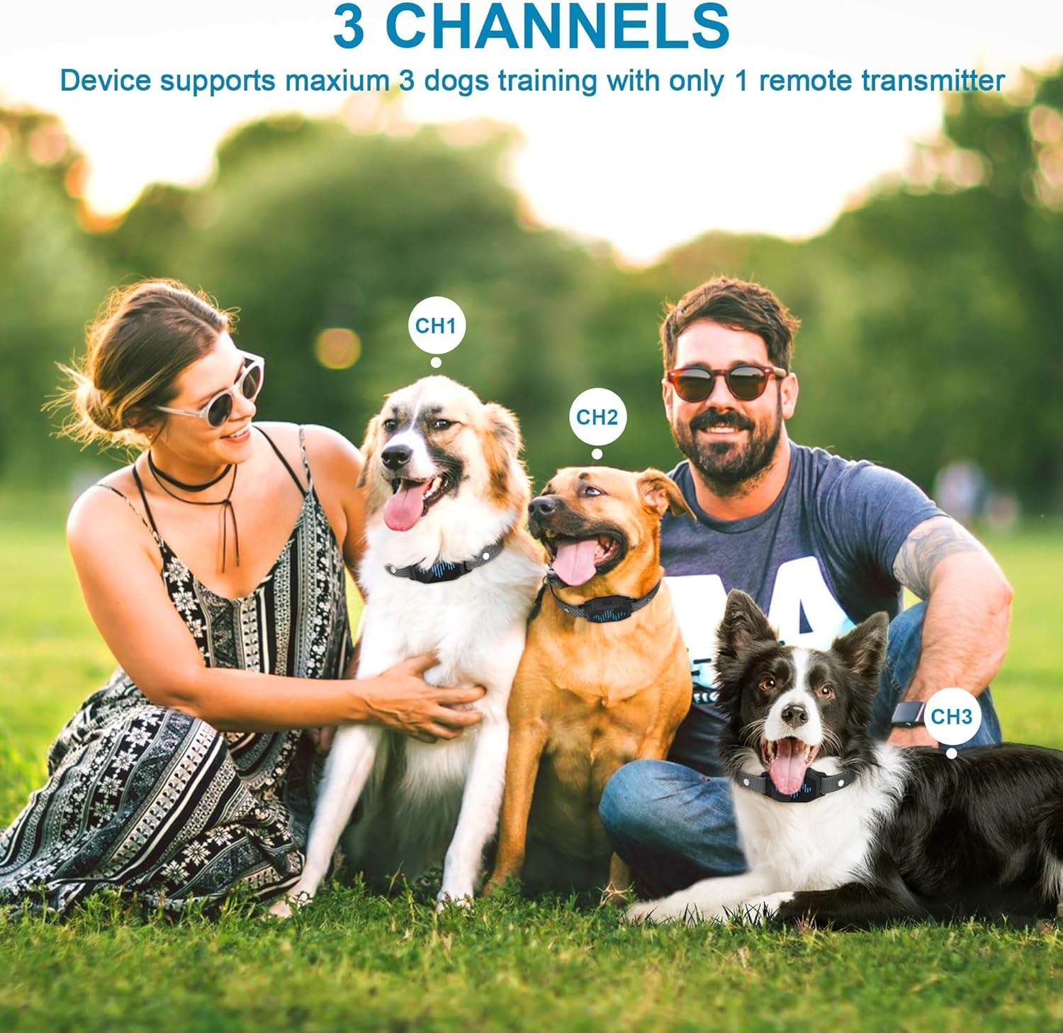 Dog Training Collar with Remote Control 2 Pack, 2500ft Control Range, 4 Training Modes, IP67 Waterproof E Collar for All Breeds, Small Medium Large Dogs