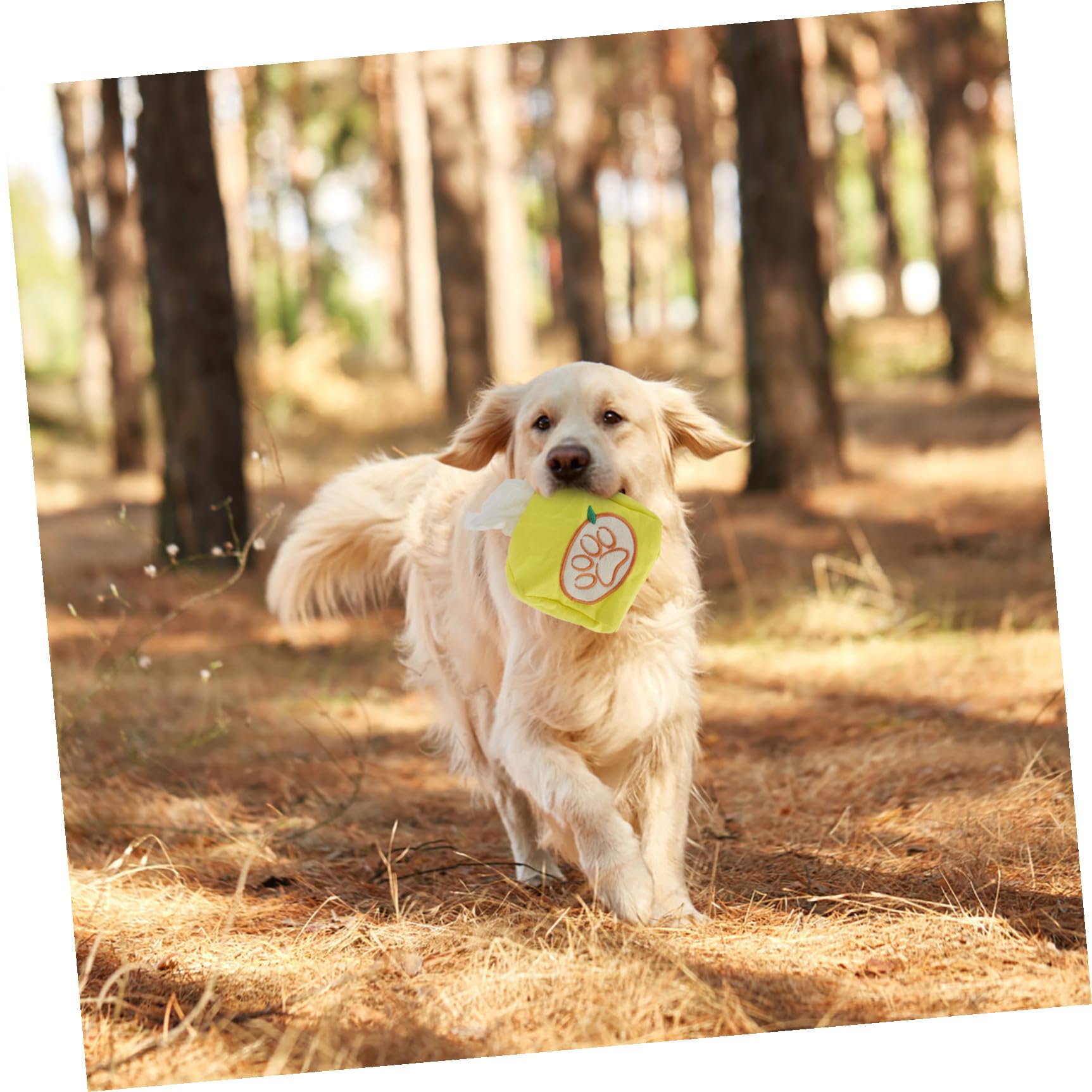 POPETPOP 3stücke Pet Snuffle Toy Für Hunde Lustiges Foraging Spielzeug Geruchstraining Für Und Kleine Hunde Um Abzubauen Und Instinkte Zu