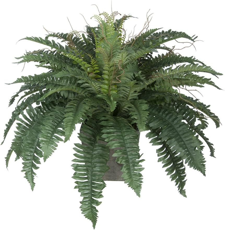 House of Silk Flowers Artificial Fern in Grey-Washed Wood Ledge