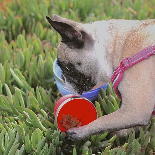 Miniatura 8 de HYDAWAY Vaso plegable  12 onzas, taza de viaje reutilizable de silicona para beber y aperitivos, días de niños, campamento y mochileros, pequeño,