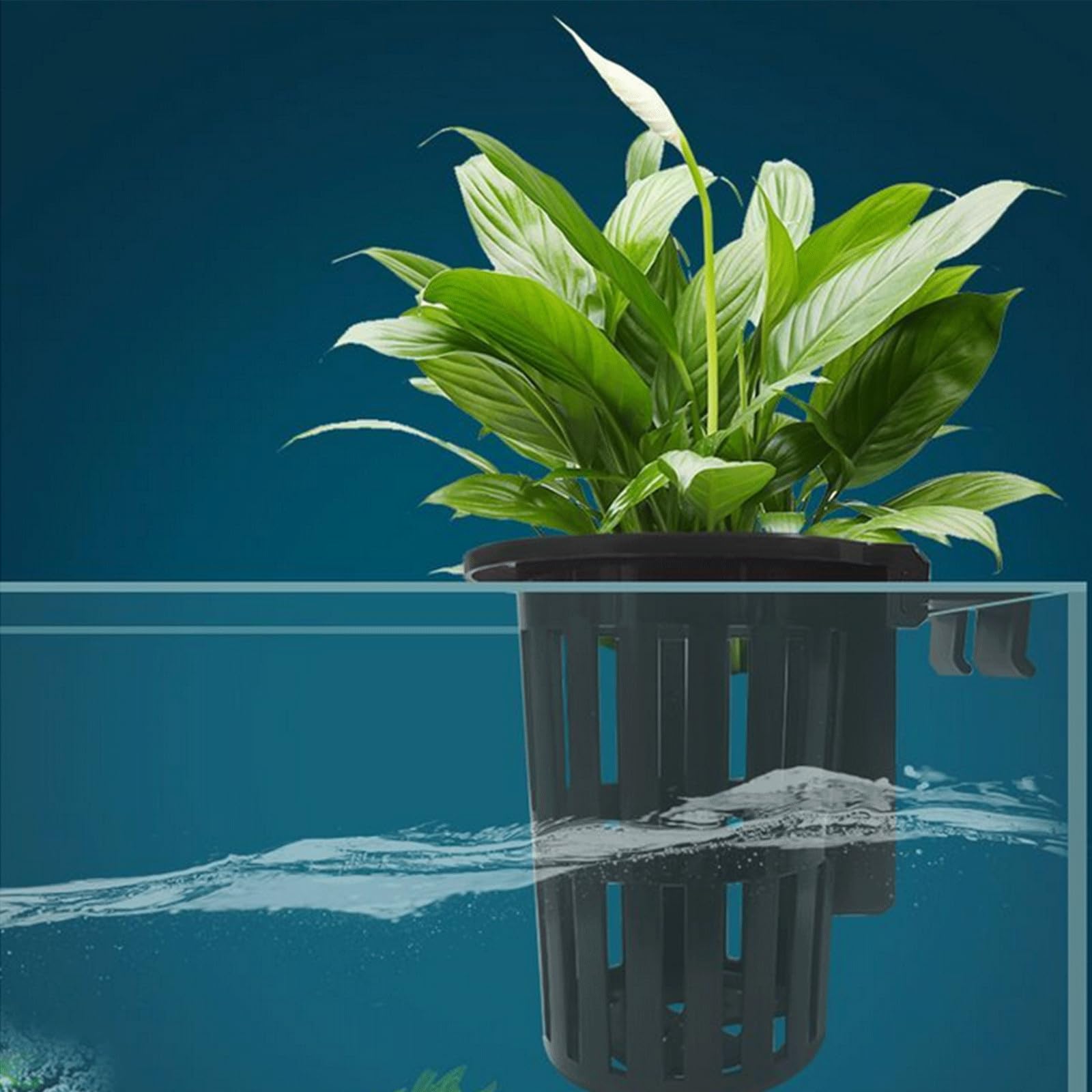 rflaueo 4pcs Upgraded Aquarium Plant Holder with Hooks and Suction Cups for Fish Tank Aquaponic Plants Cultivation and Aquascape Decorations(U321-4) - Image 3