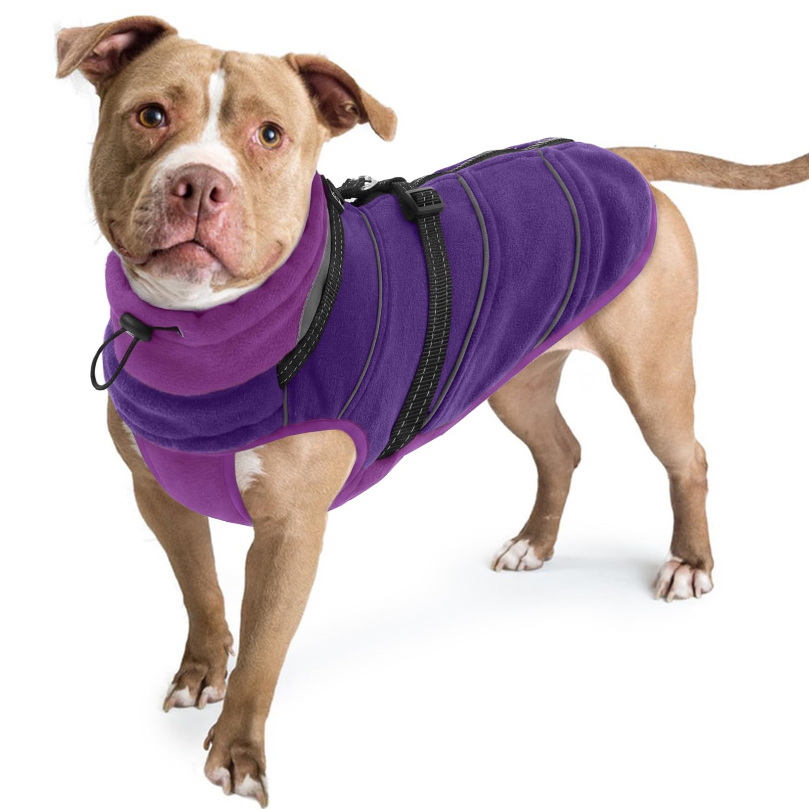 Dog All In One Suit, 2-In-1 Dog Coat Step Into(Purple, 3XL)