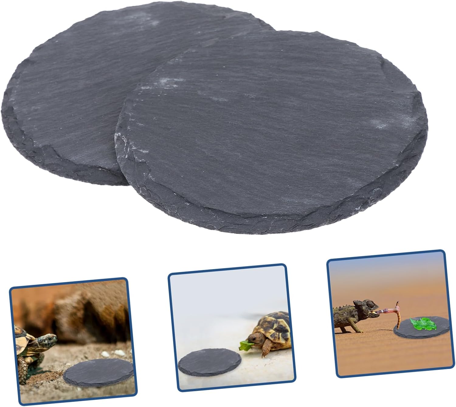 Basking Stone Platform 2Pcs Reptile for Geckos and Turtles