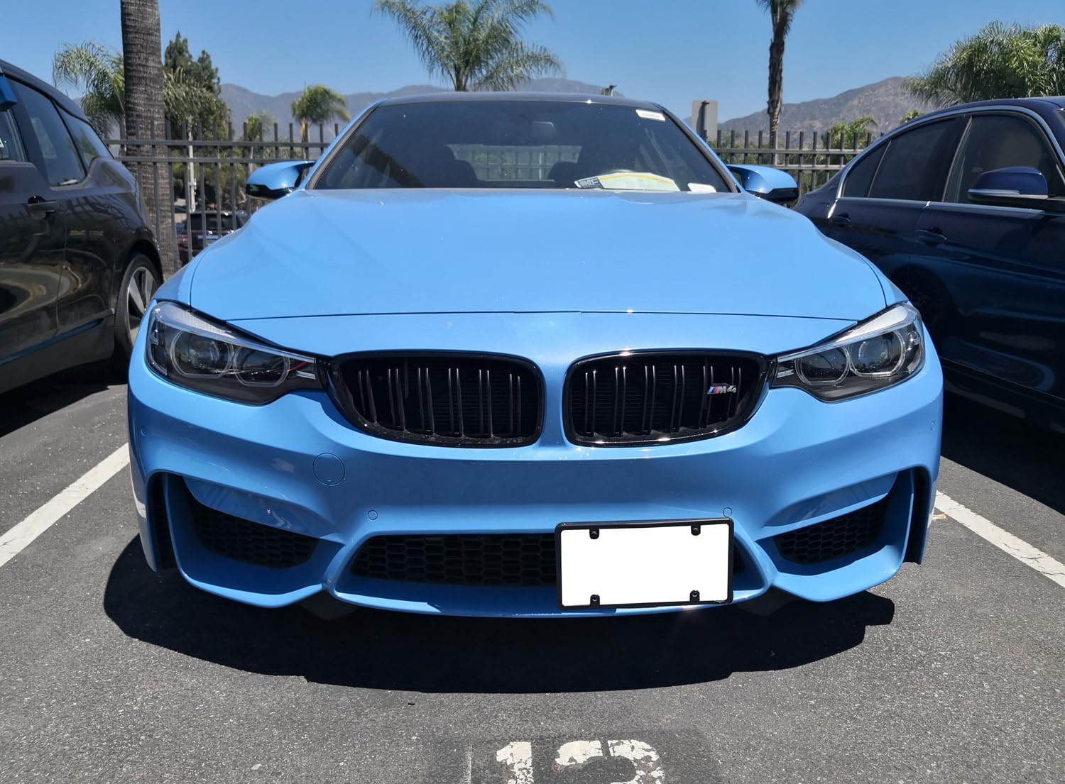 iJDMTOY No Drill Front Grille Mesh Mount License Plate Relocator Kit Compatible with BMW BMW M2 M3 M4 M5 M6 X5M X6M or 1 2 3 4 5 Series X5 X6 w/Diamond Shape Lower Bumper Grill Mesh/Insert