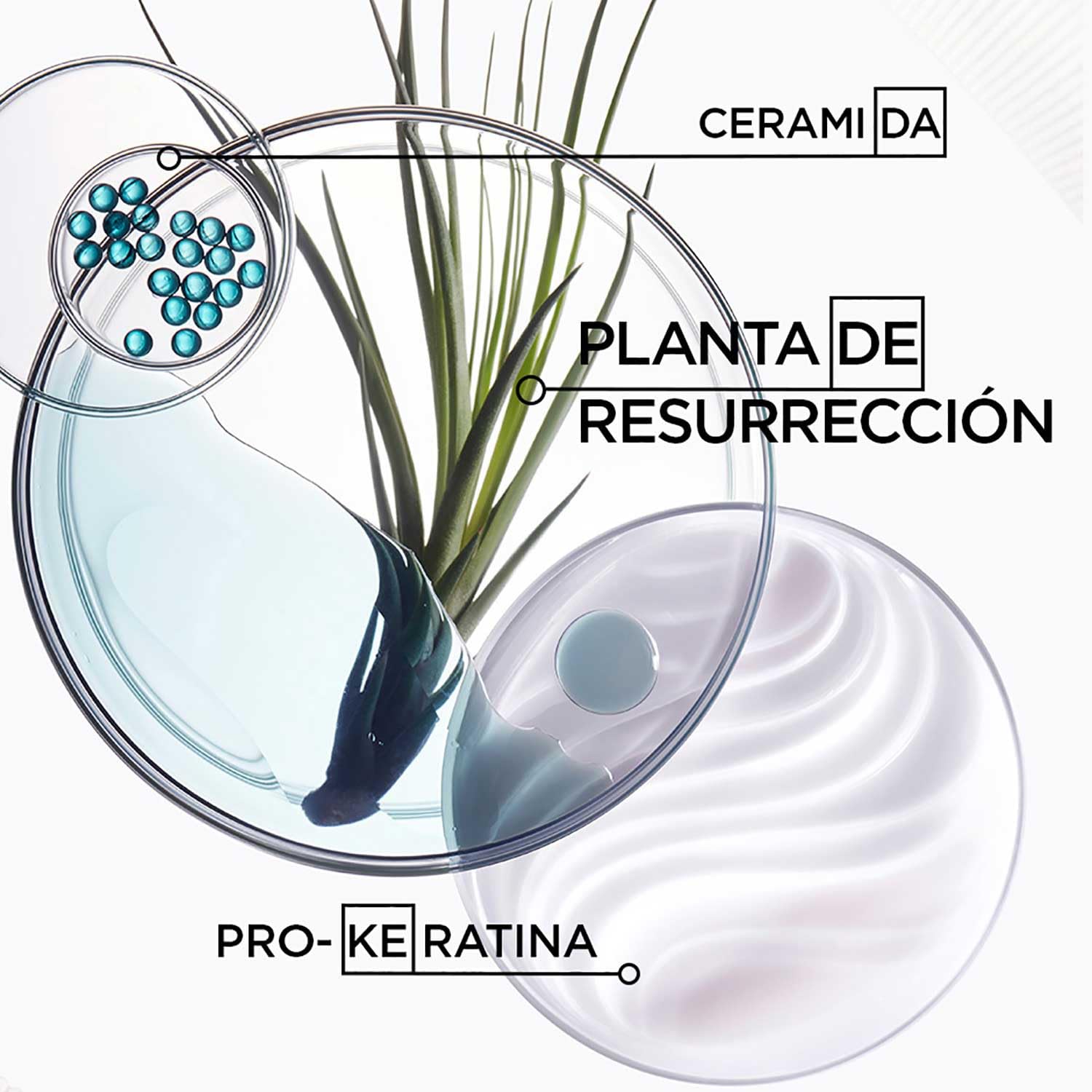 Kerastase Masque Force Architecte 200 ml