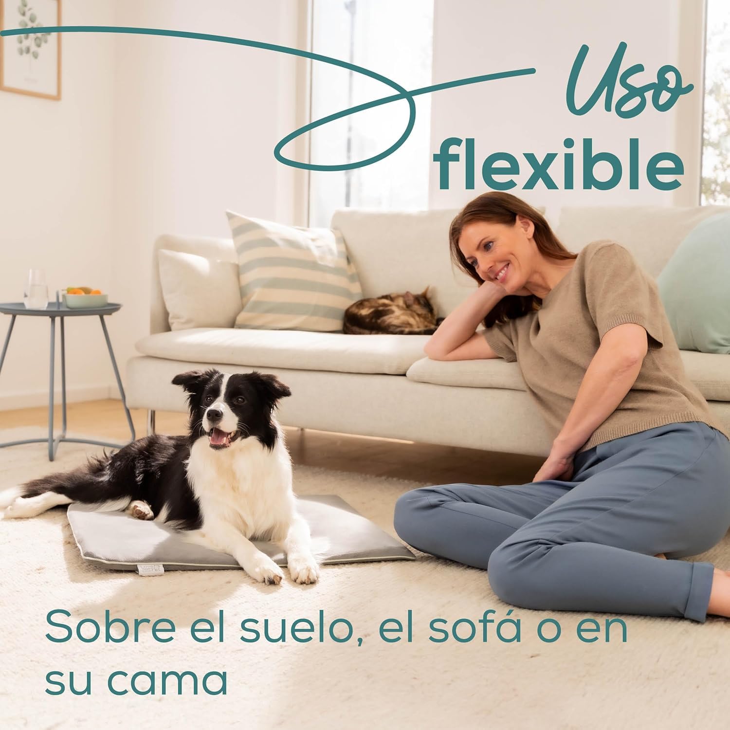 Beurer Love Your Pet Colchoneta térmica Talla L «Sammy» de para Perros y Gatos, con Temporizador, Grande, Almohadilla eléctrica XXL Lavable a 30 °C, Resistente a los arañazos y el Agua, 65 × 50 cm
