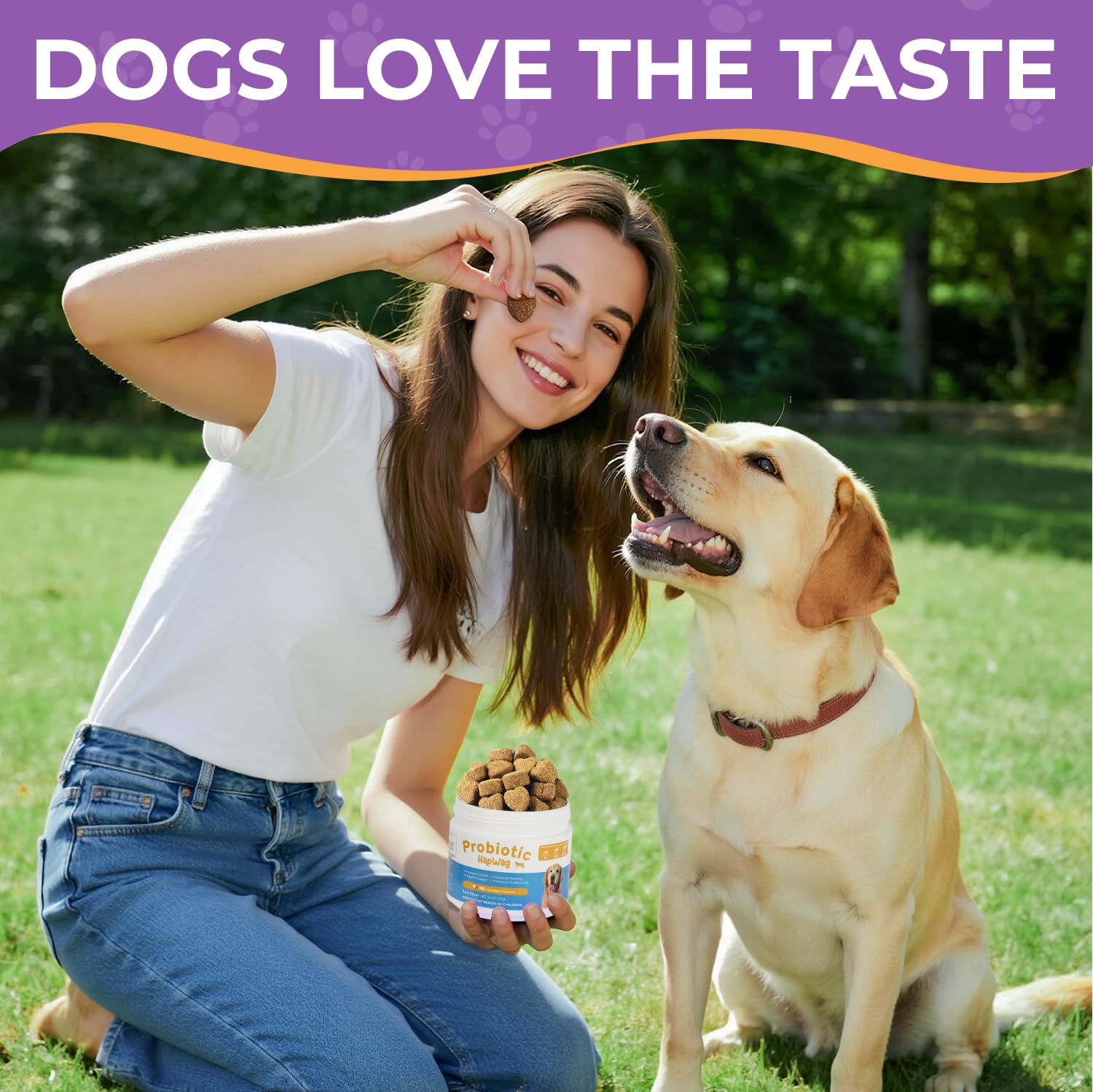 Dog Allergy and Immune Relief Chews - Probiotics for All Breeds and Ages Dogs, Support Gut Digestive Health, Anti Diarrhea, Constipation Relief, Dog Supplements - Pork Flavor - 90 Soft Chews - image 6