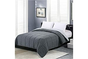 Homelike Moment Queen Comforter, Lightweight Grey Down Alternative, All Season Comforter Blanket,...