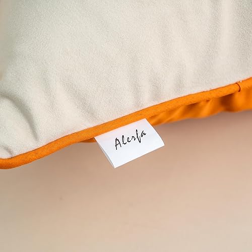 Miniatura 7 de Alerfa Funda de cojín de terciopelo de 20.0 x 20.0pulgadas