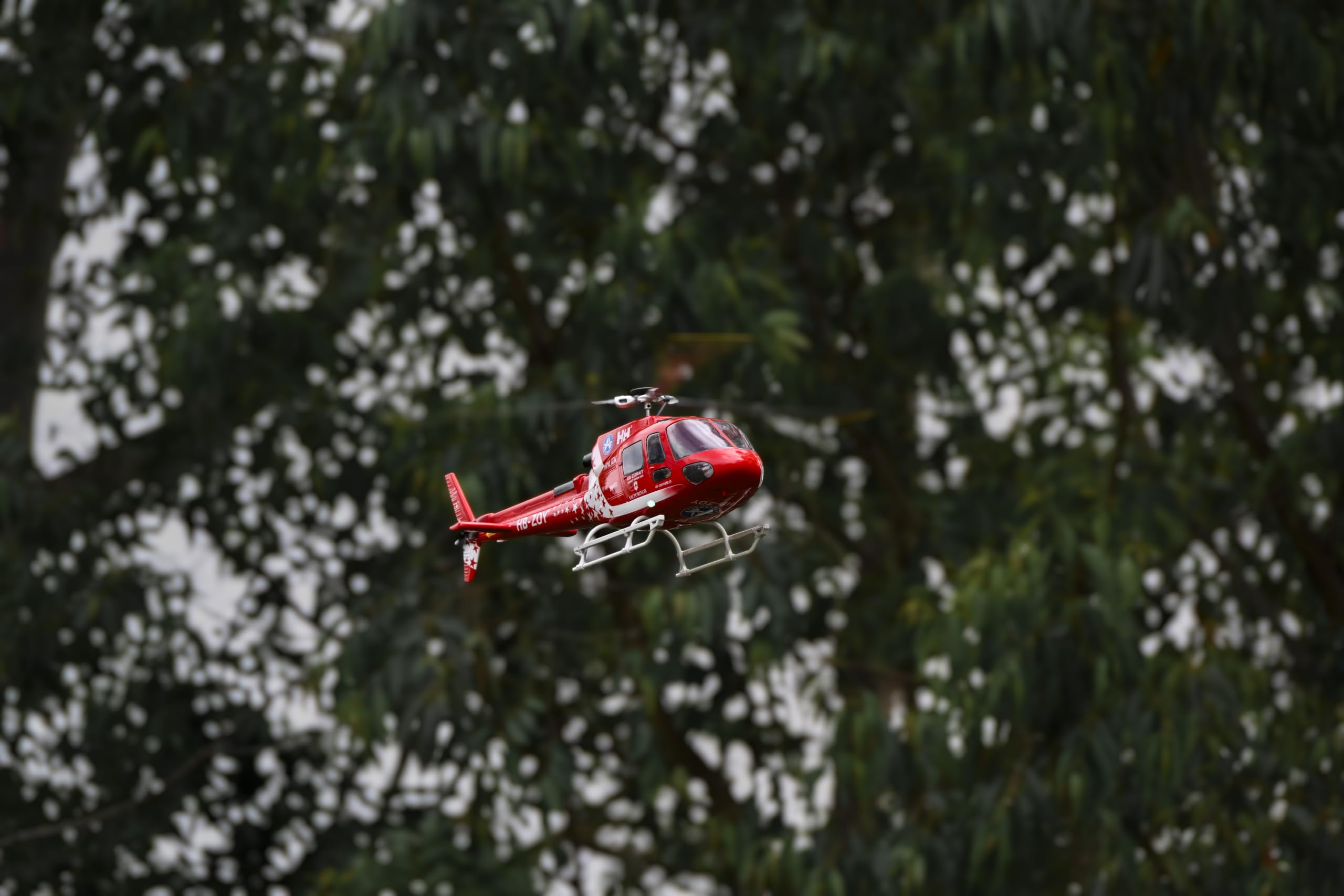 TOUCAN RC HOBBY FLYWING AS350 - Elicottero radiocomandato, modello di aereo RC, con motore brushless RTF Flysky I6S