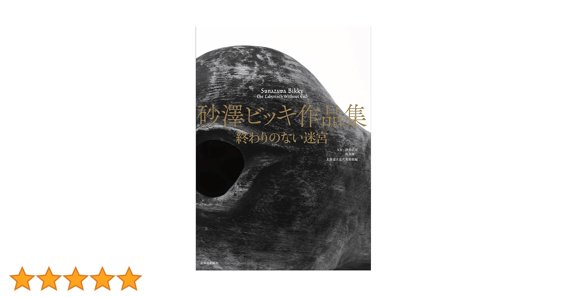 砂澤ビッキ作品集 終わりのない迷宮 | 北海道立近代美術館, 酒井